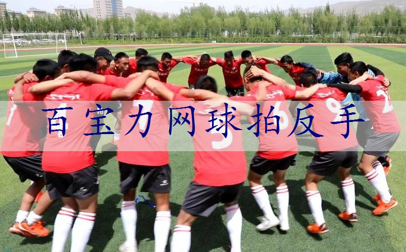 百宝力网球拍反手