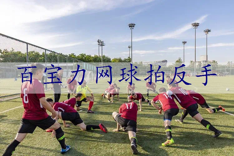 百宝力网球拍反手