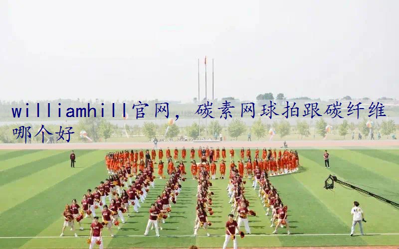 碳素网球拍跟碳纤维哪个好