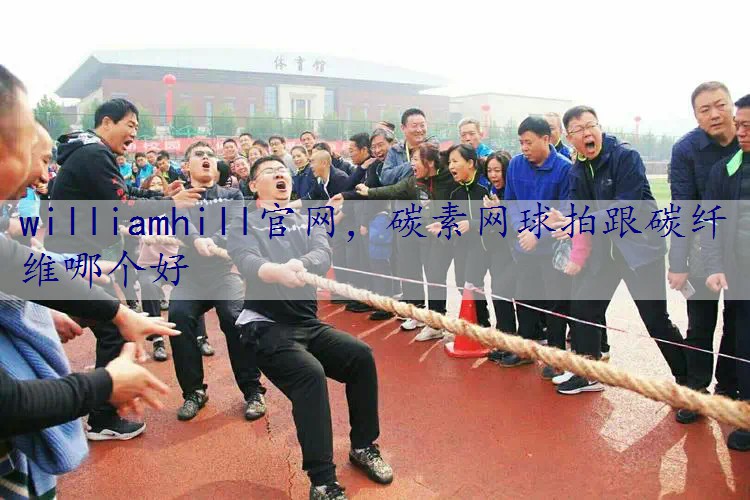 碳素网球拍跟碳纤维哪个好
