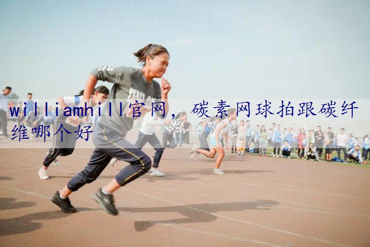碳素网球拍跟碳纤维哪个好