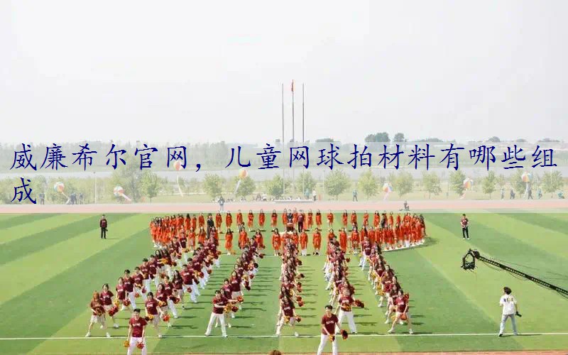 儿童网球拍材料有哪些组成