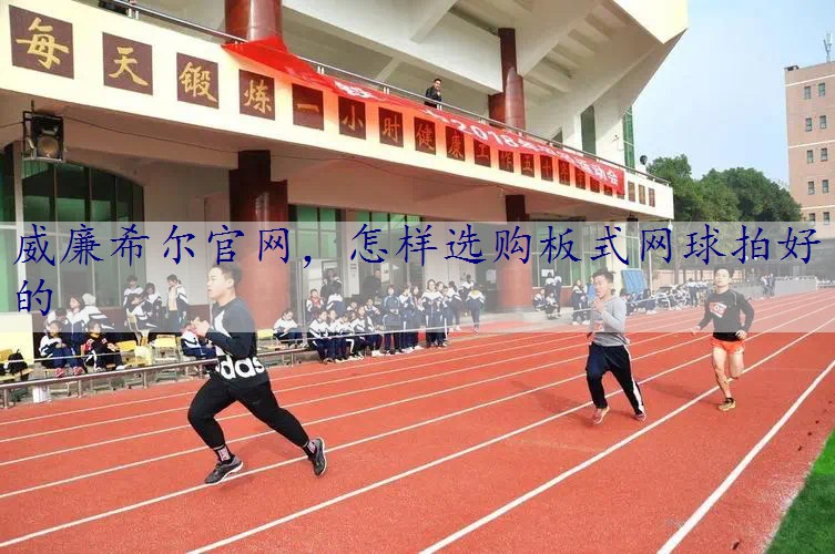 怎样选购板式网球拍好的