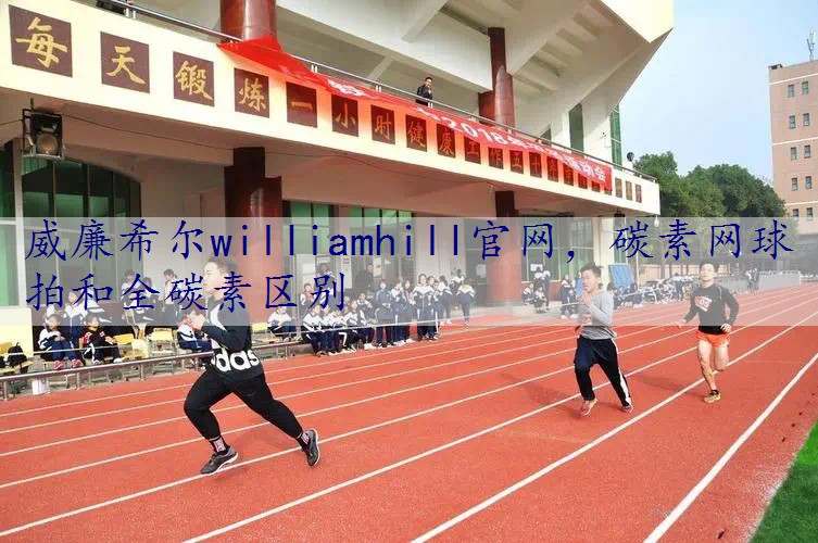碳素网球拍和全碳素区别