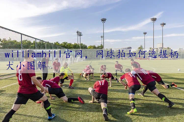 网球拍如何选握柄大小图解