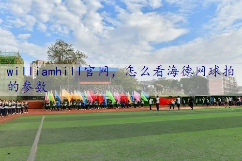 怎么看海德网球拍的参数