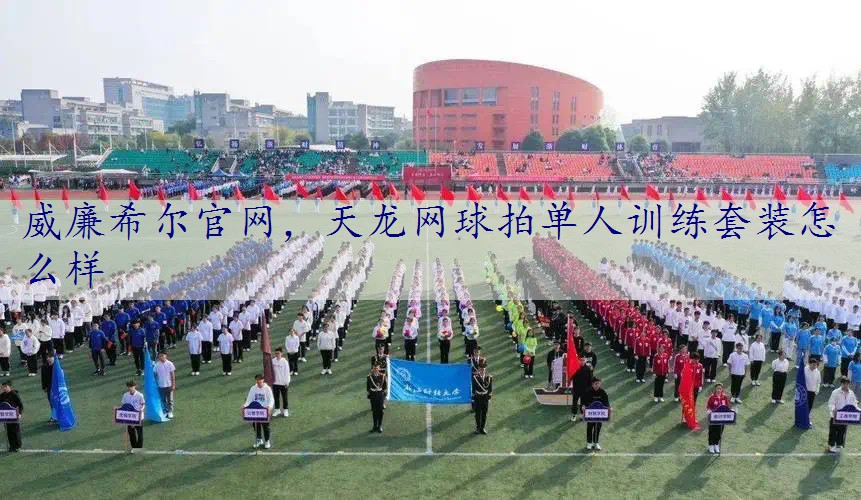 天龙网球拍单人训练套装怎么样