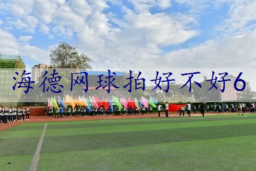 海德网球拍好不好6