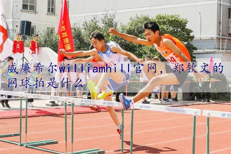 郑钦文的网球拍是什么