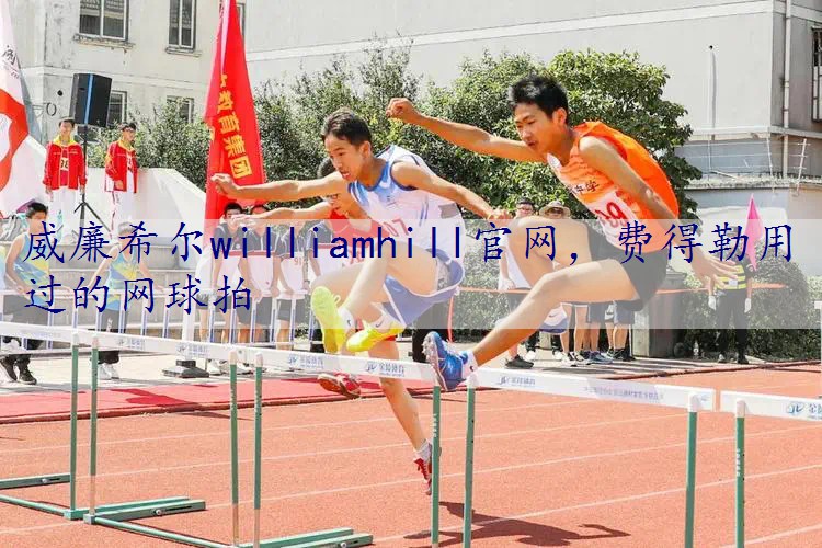 费得勒用过的网球拍