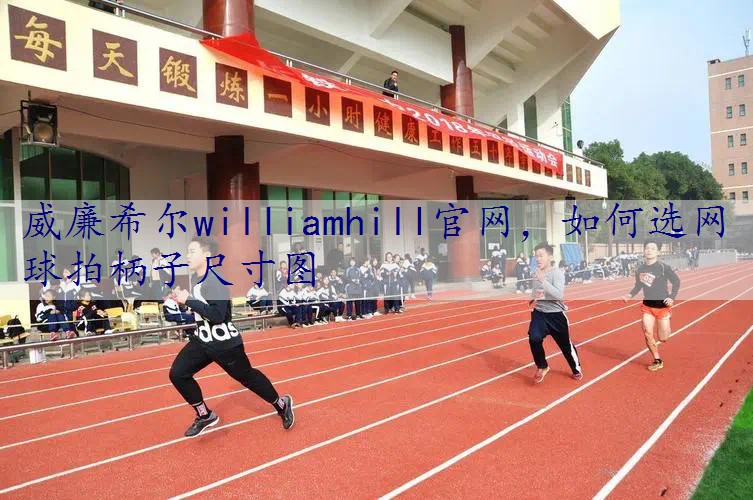如何选网球拍柄子尺寸图