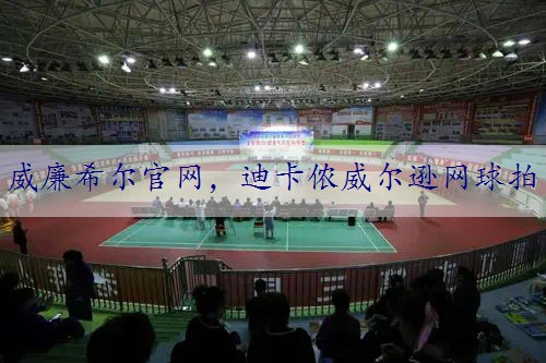迪卡侬威尔逊网球拍