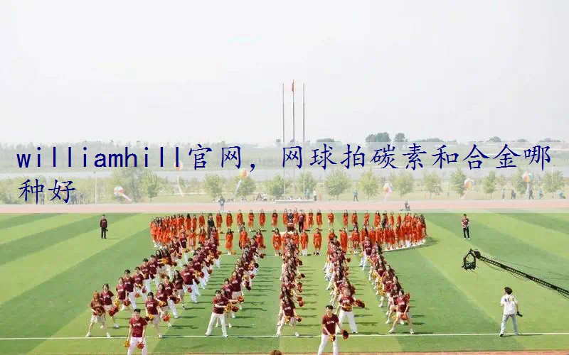 网球拍碳素和合金哪种好