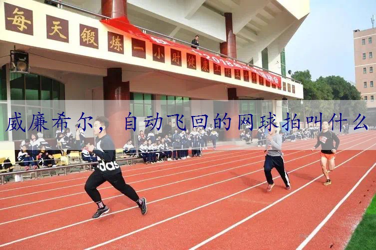 自动飞回的网球拍叫什么
