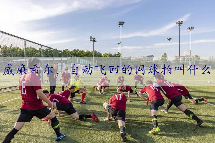 自动飞回的网球拍叫什么