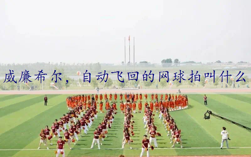 自动飞回的网球拍叫什么